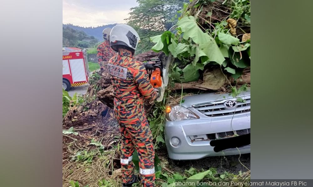 Dua Lelaki Maut Dihempap Pokok Tumbang Di Ampang