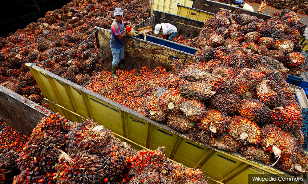 Indonesia and Malaysia label EU’s biofuel ban discriminatory