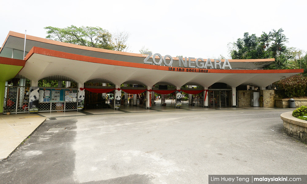Covid-19 - Zoo Negara takes precautionary measures to keep animals safe