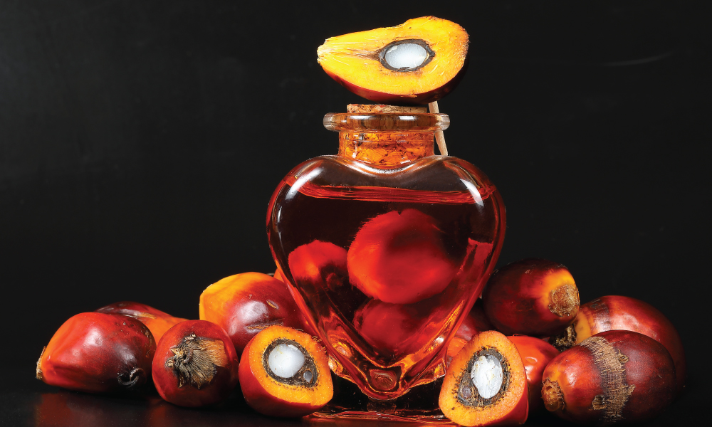 Palm Oil Versatility And Efficiency
