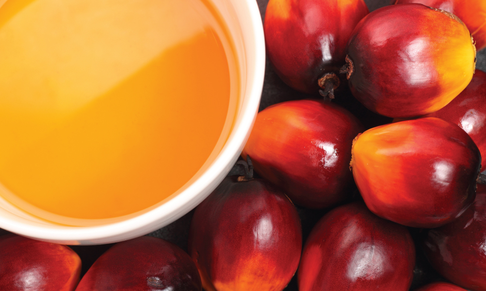 Key actors in palm oil business urged to up their game to win over hearts