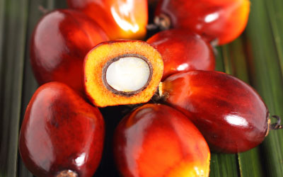 Palm Oil vs. Palm Kernel Oil