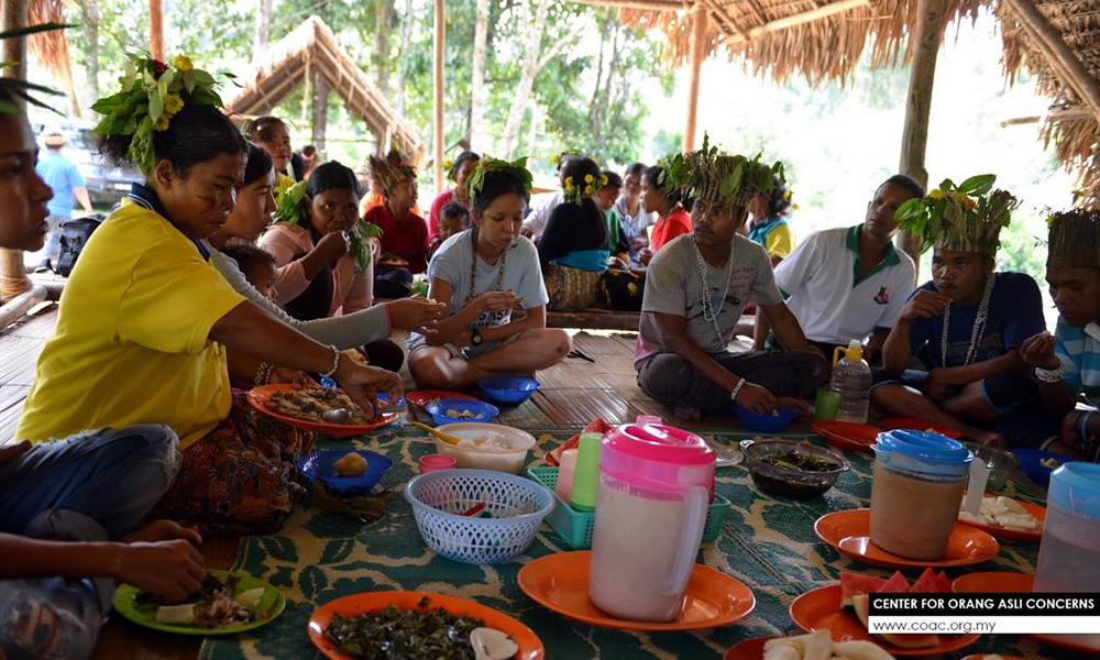 Senator moots special economic stimulus package for the Orang Asli