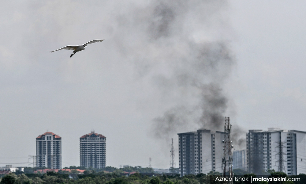 LETTER | Rethink development paradigm in averting future crises