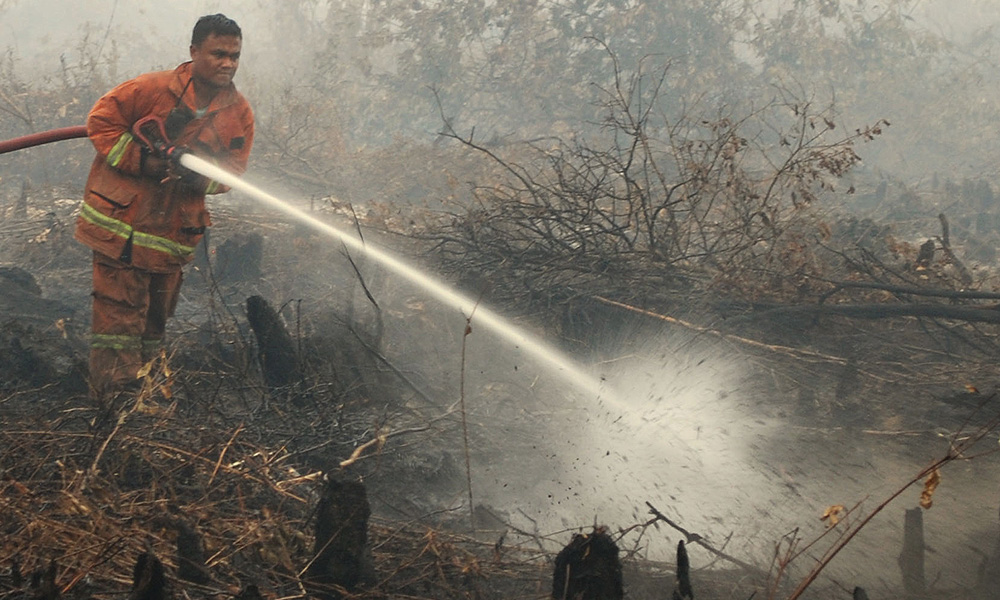 Cheneh forest reserve in T'ganu on fire