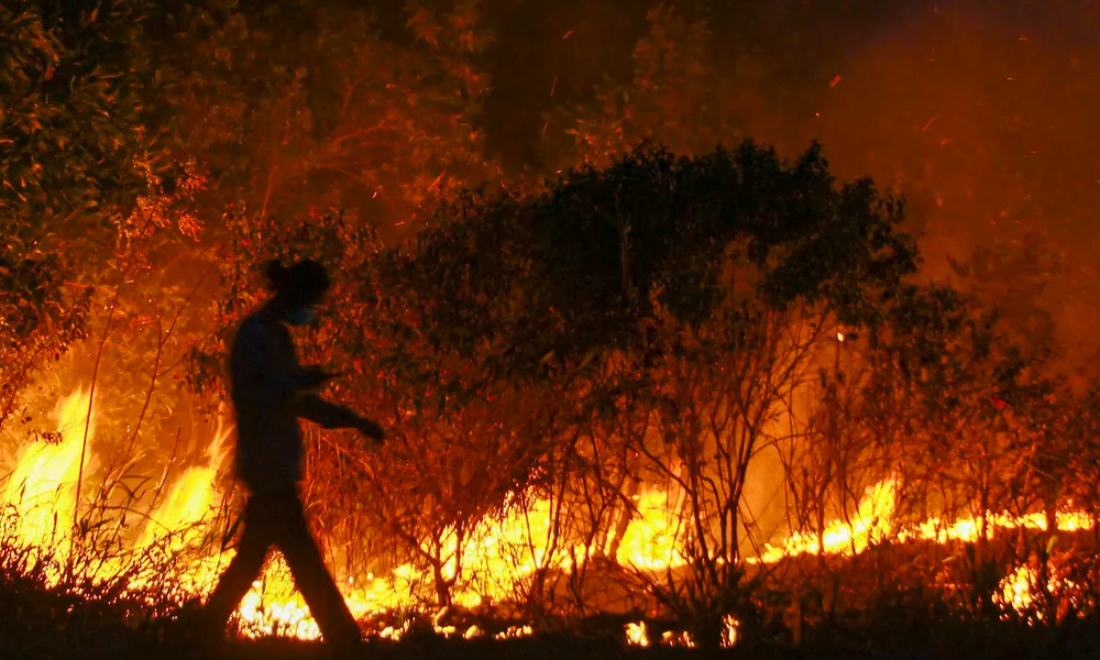 In Indonesia, nabbing culprits of haze-linked fires is like catching smoke