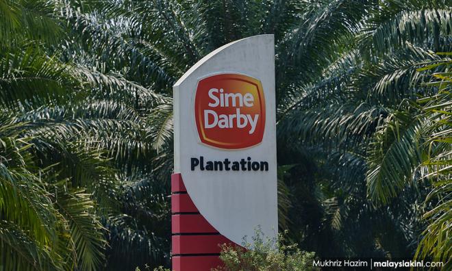 Sime Darby to look into report of forced labour in call ...