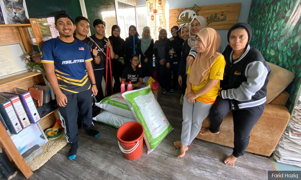 Bathing cats, caring for elderly compulsory to pass engineering course