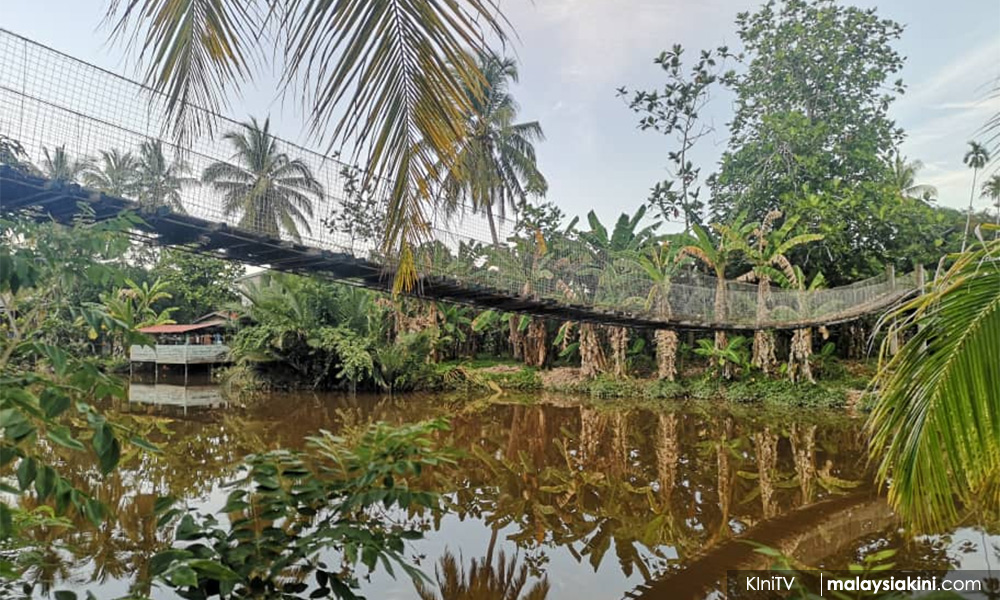 LETTER | Sabah’s environment is a collective responsibility