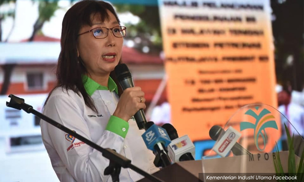 Projek buluh: Akhirnya Khairuddin sedar - Teresa