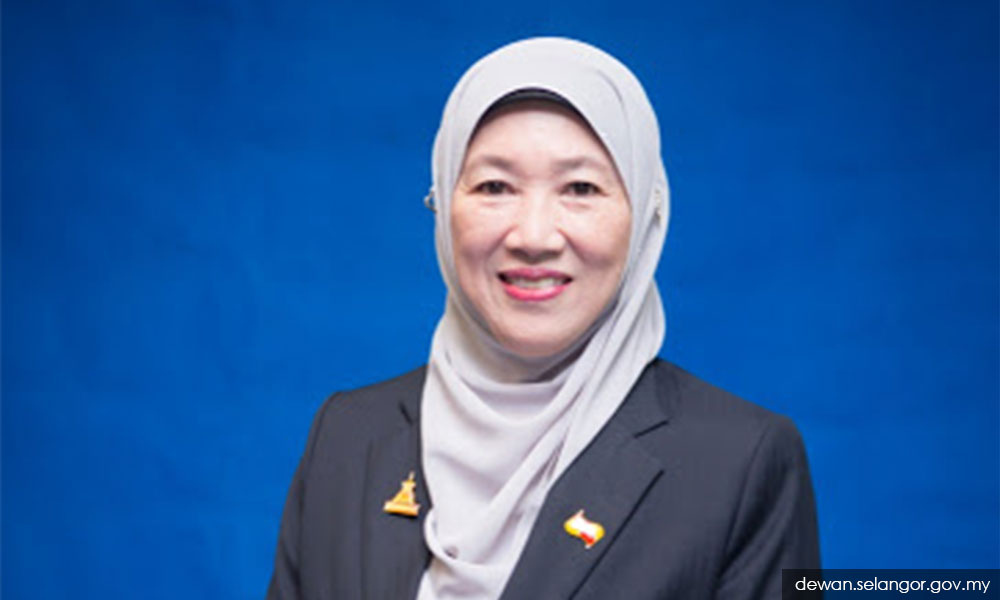 After calls to purge Azmin allies, PKR Wanita deputy pledges loyalty to party