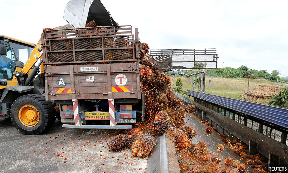 Research firm foresees palm oil sector hit by decreased demand, price