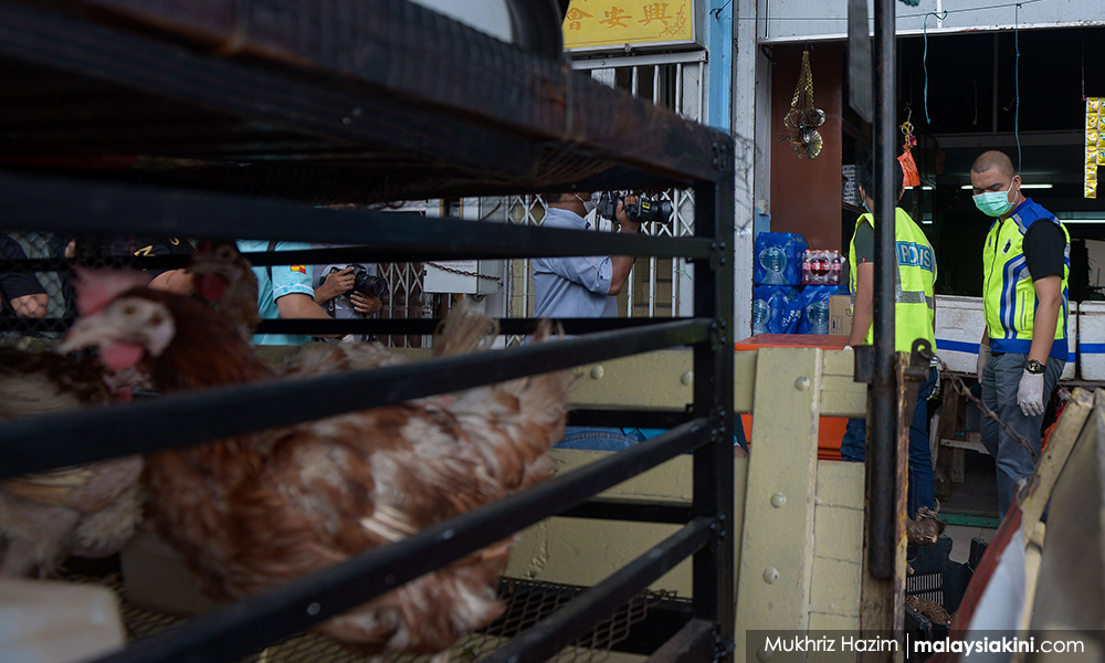 MCO: Farmers, food traders turn to FB, Twitter to sell products