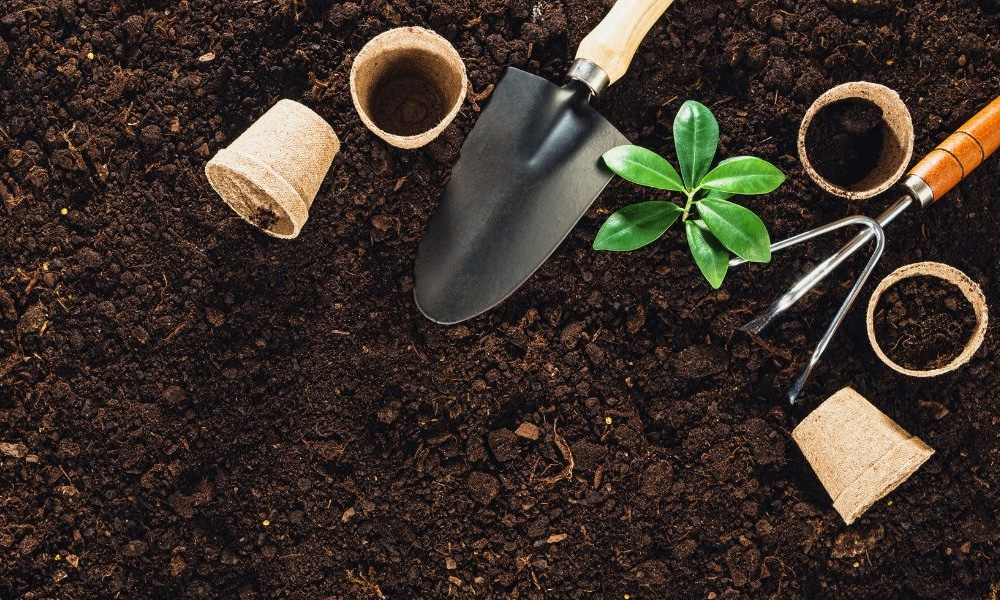 MCO boosts demand for seeds, gardening tools