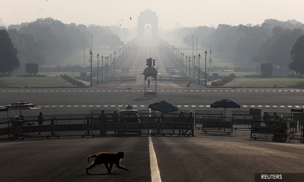 Monkeys steal Covid-19 blood samples in India