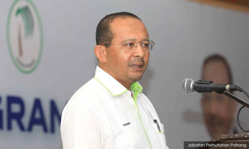 20 illegal logging, mining activities during MCO foiled in Pahang