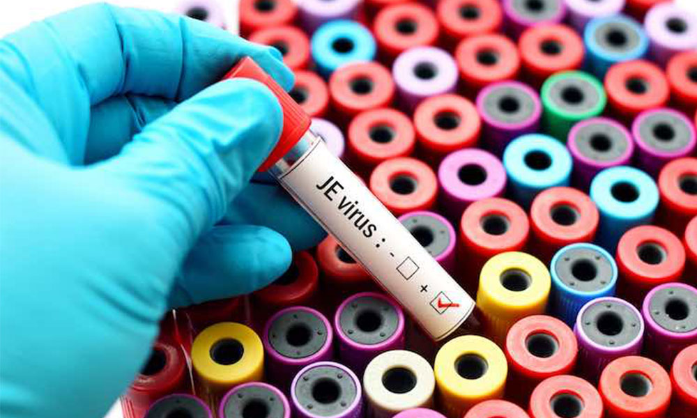 Two Japanese Encephalitis cases detected in Penang
