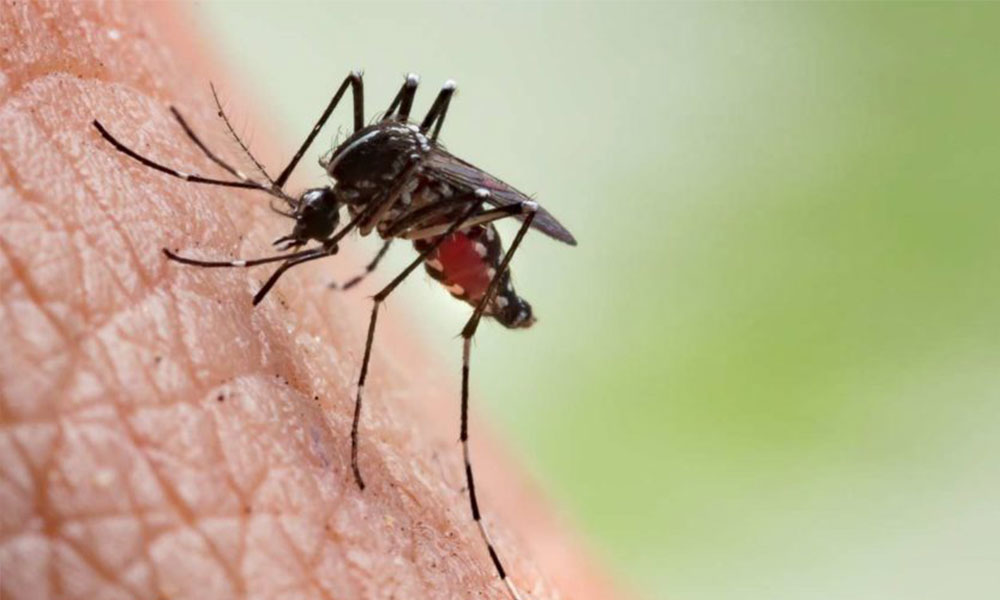 Study predicts surge in HIV, TB and malaria deaths amid Covid-19 pandemic