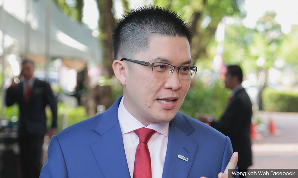 DAP lawmaker appointed as PAC chair