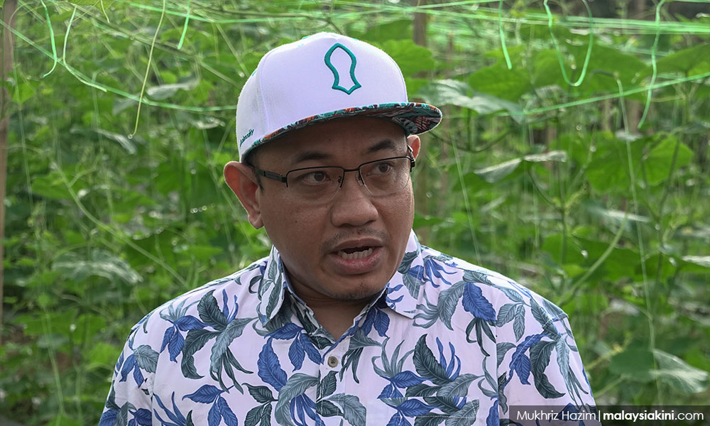 Amir: PRK Slim ibarat pokok baru nak tumbuh