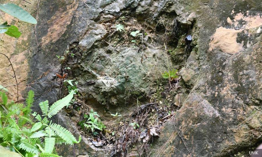 Malaysiakini Umk Researchers Find Fossils Of Dinosaur Footprints In Tanah Merah