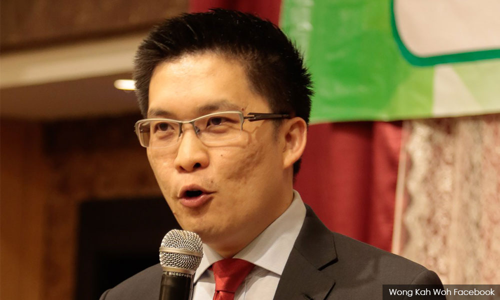 PM dijangka calonkan Wong Kah Woh ketuai PAC