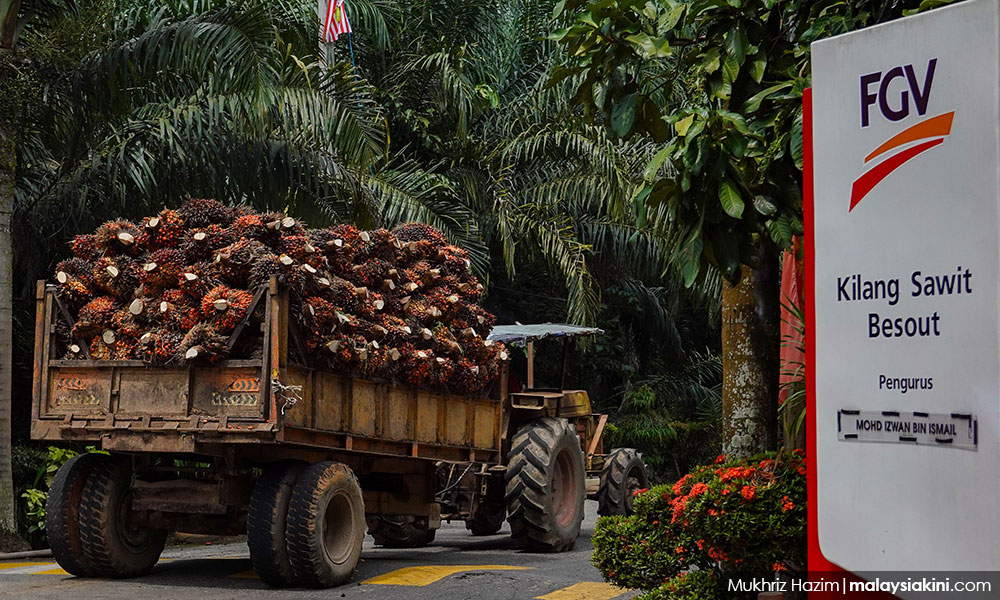 FGV denies US claims of using forced labour