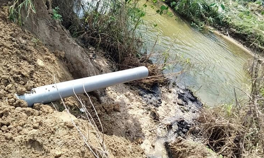 Perak DOE probes alleged pig waste dumping in Sg Kuala Gepai