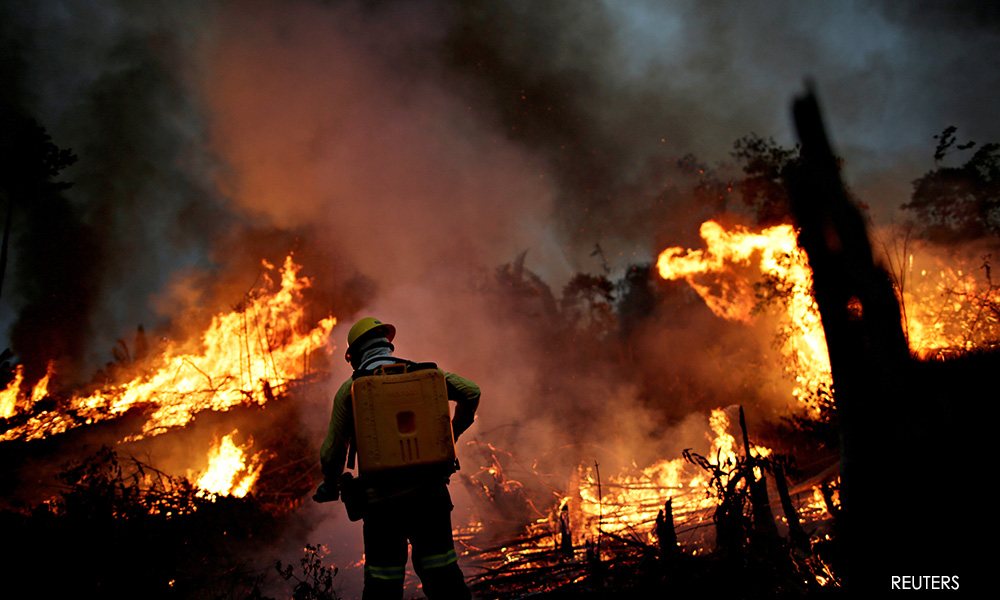 World's top companies urge action on nature loss ahead of UN talks