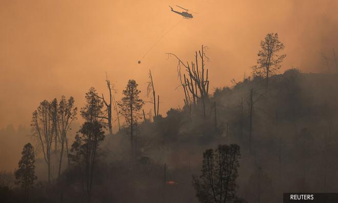 California terbakar: 5,300 ekar musnah, 10 bangunan 