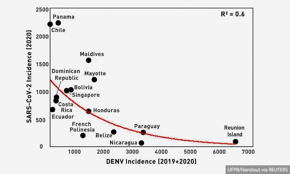 Study suggests dengue may provide some immunity against Covid-19
