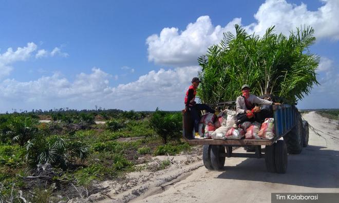 IOI: 'Kecuaian' penduduk punca kebakaran di Kalimantan