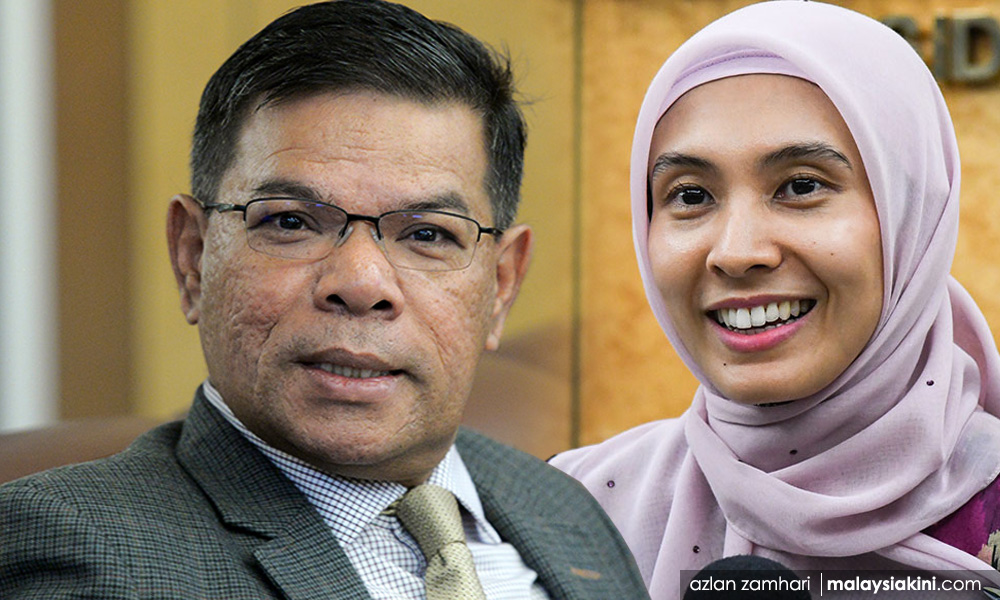 Saifuddin: Nurul Izzah must 'decide for herself' on active role