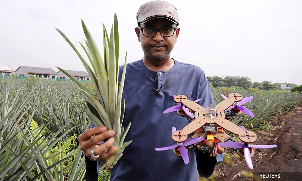 Malaysian team turns pineapple waste into disposable drone parts