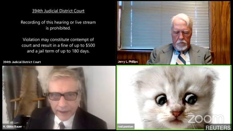 TEST - TEST - 'I'm not a cat,' says lawyer after Zoom filter mishap