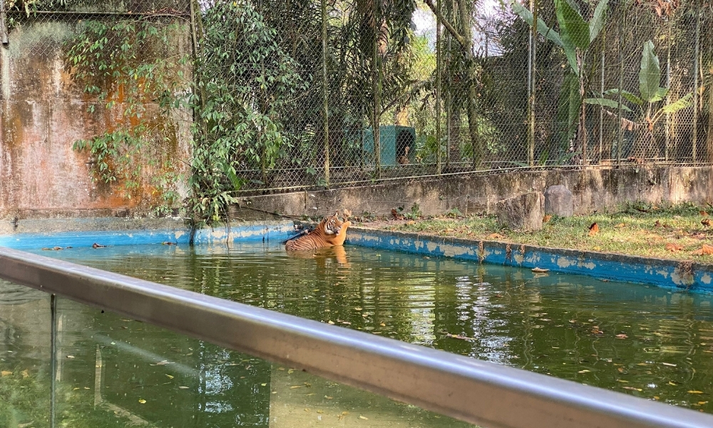 Waterco Malaysia determined to give residents of Zoo Negara clean water environment
