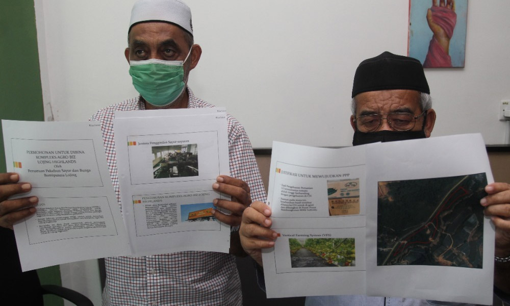 'Pengusaha sayur di Lojing rugi cecah RM400,000 sehari'