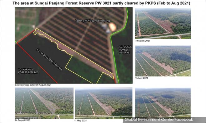Aktivis: Hentikan pembersihan hutan 'ganti' Kuala Langat