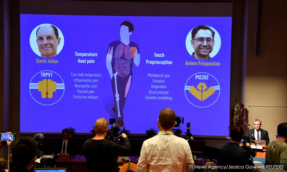 Two Americans win medicine Nobel for work on heat and touch