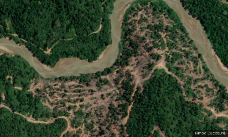 Hutan bersaiz dua kali ganda Putrajaya ranap?