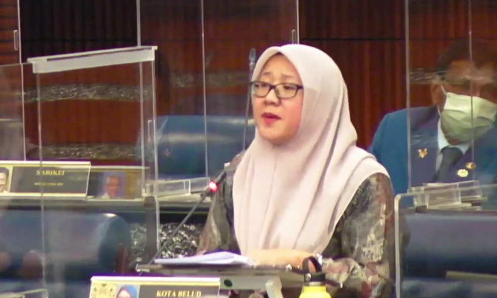 Putrajaya owes Sabah 10 times more in development funds - Warisan MP