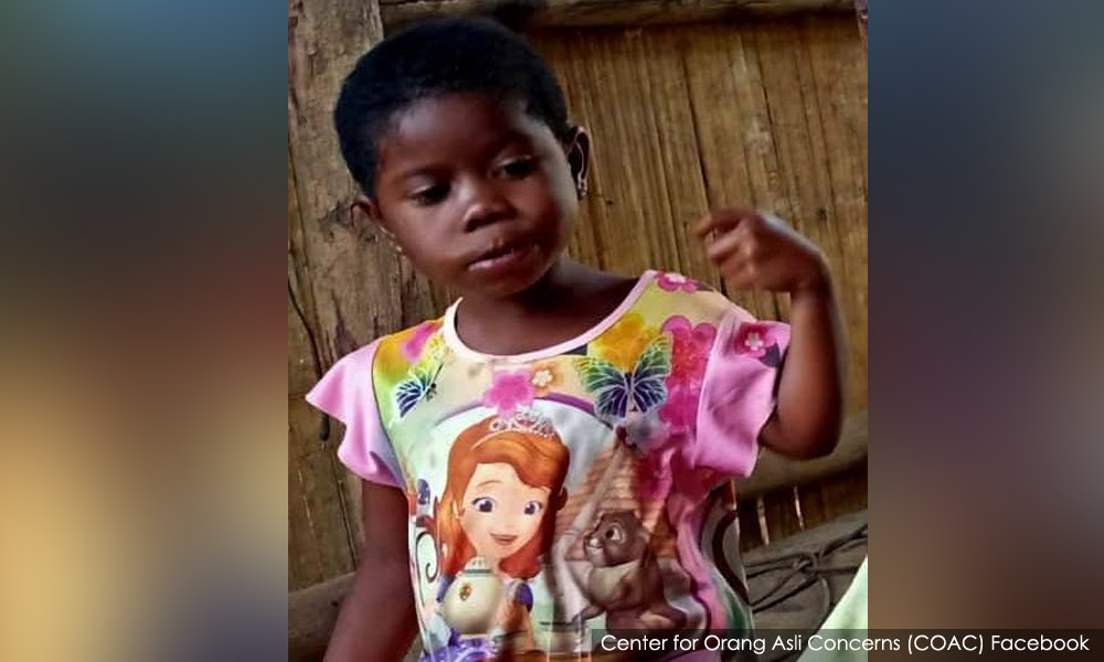 Search still on for missing Orang Asli girl in Perak forests
