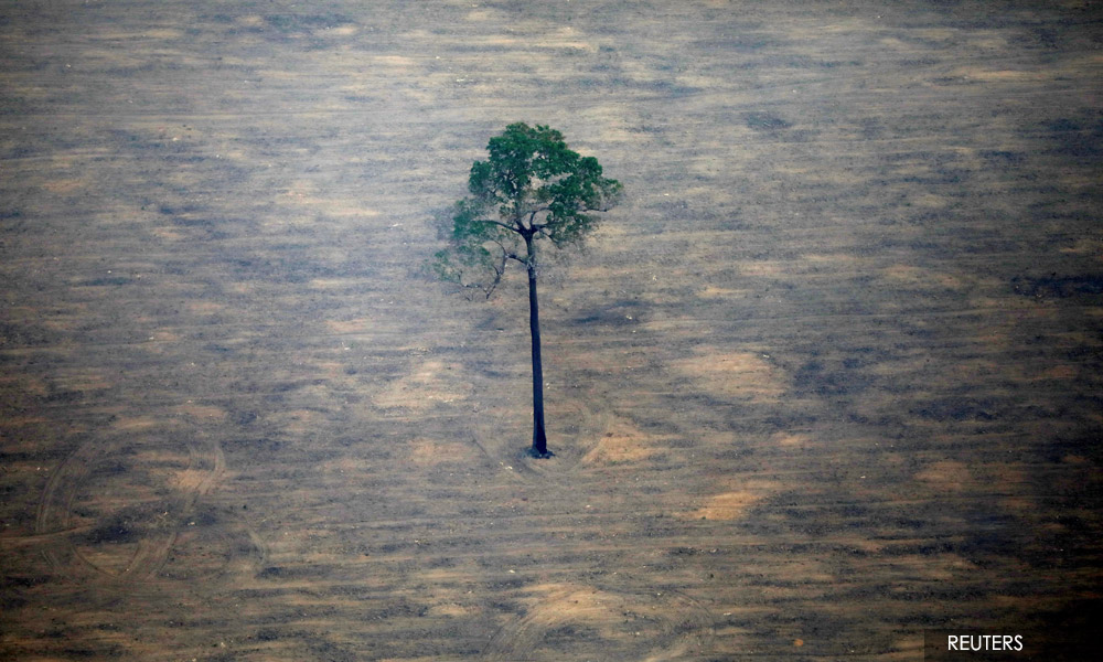 Brazil's Amazon deforestation hits April record