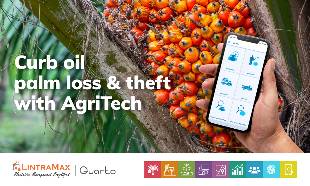 Curb oil palm loss and theft with AgriTech