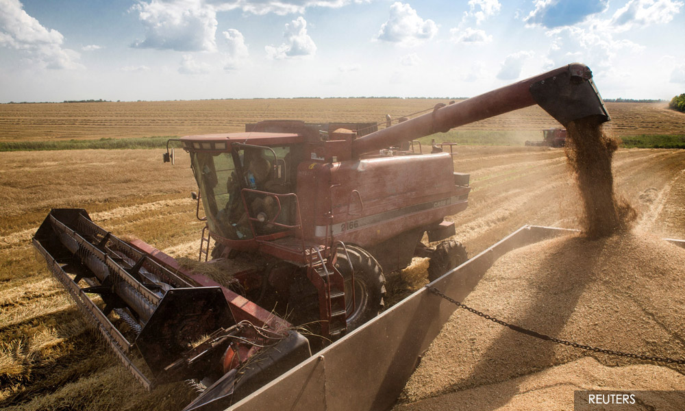 With Ukraine farmers on frontlines, UN food chief warns of 'devastation'