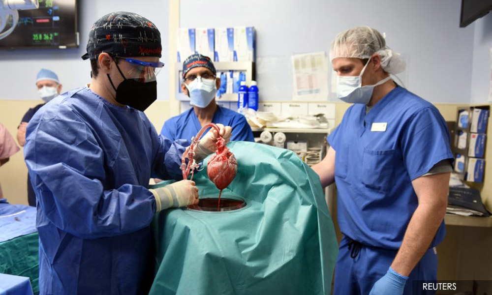 US man with transplanted genetically modified pig heart dies