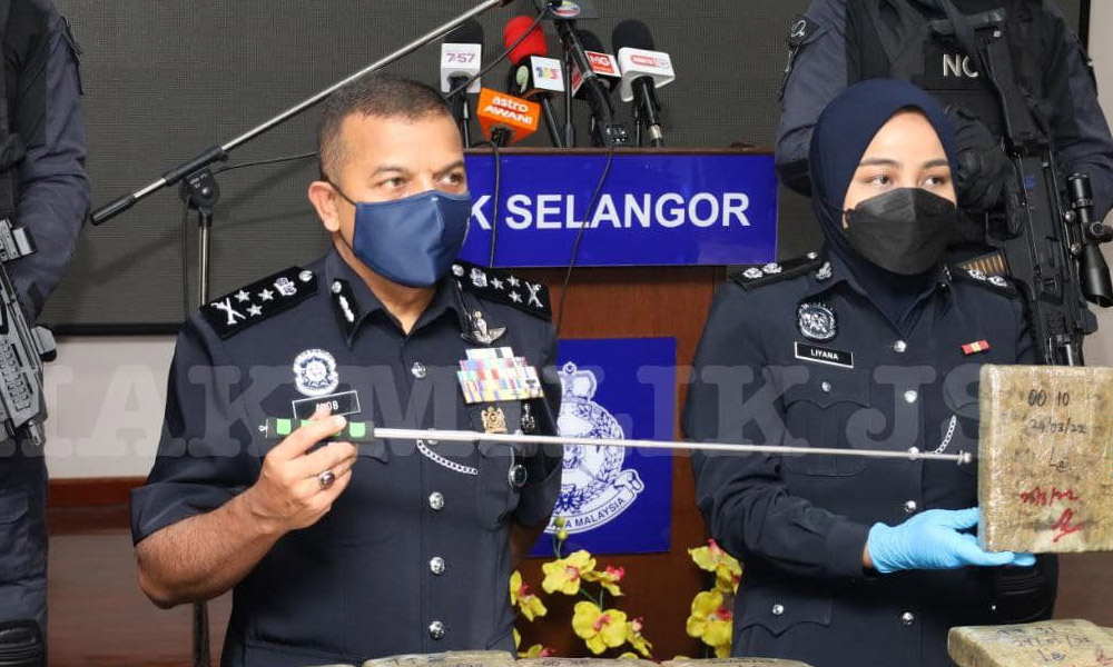 Beberapa akta perlu dipinda jika benarkan tanam ketum, hemp