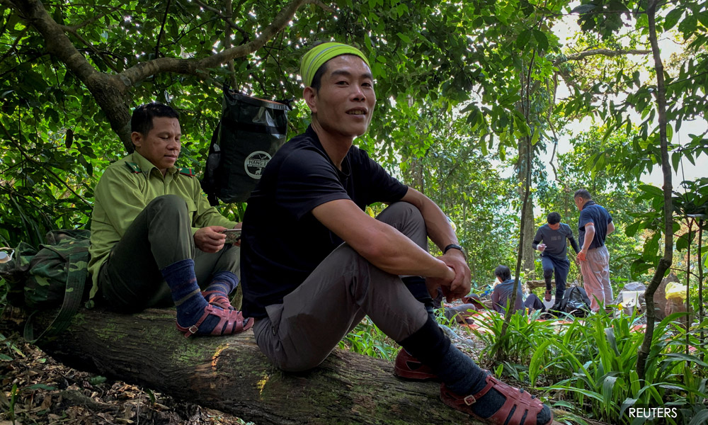 Illegal loggers in Vietnam train as jungle tour guides