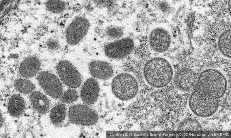 Indonesia confirms first monkeypox case