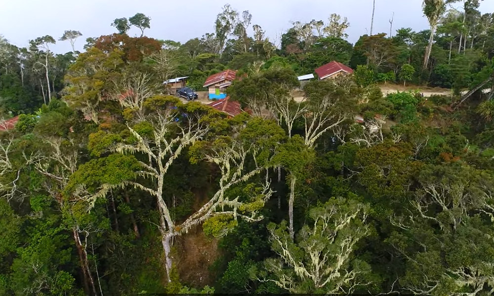 NGO desak siasat pembabitan firma Malaysia musnahkan hutan di Papua 1 deee9847ac16f7307db251bfee37a679